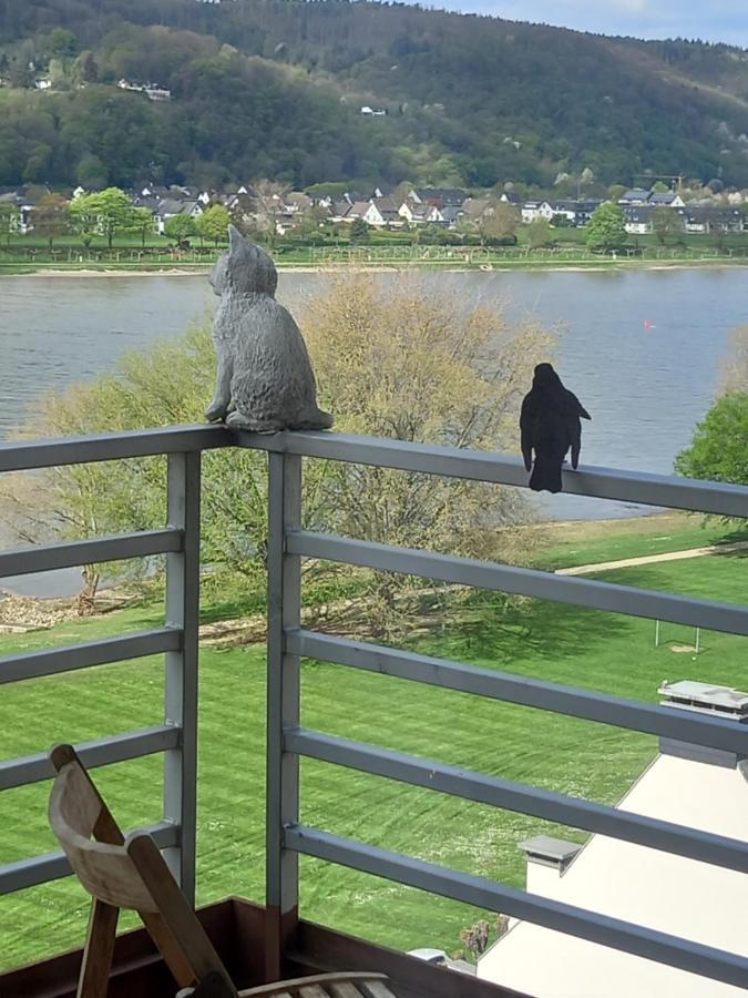 Rheinapartment 8 Bad Honningen Bagian luar foto